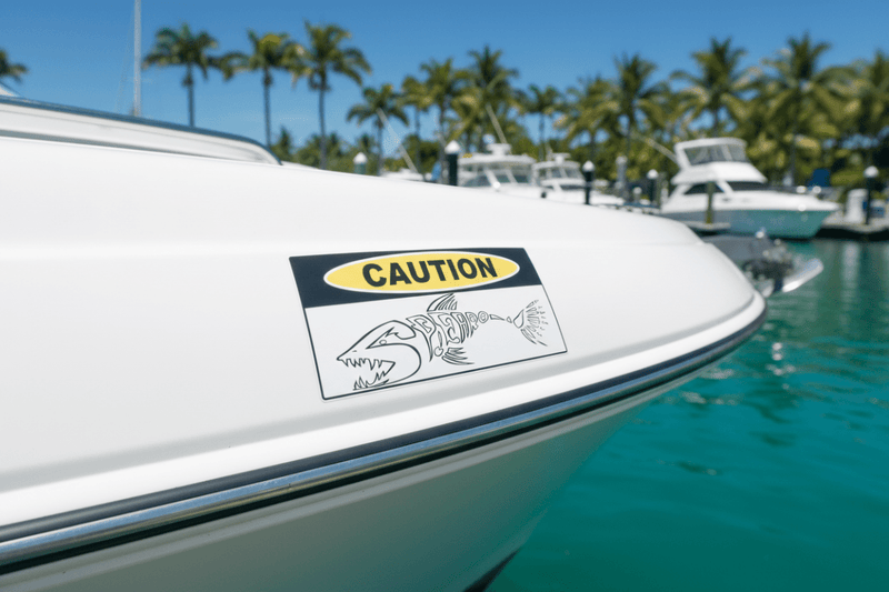 Spearo Caution on Boat at Tropical Marina