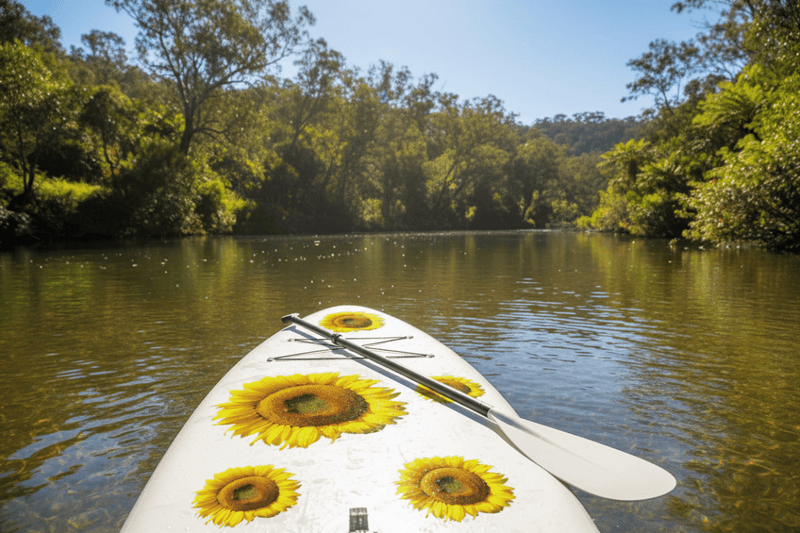 Sunflower - Kayak