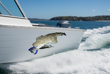 Load image into Gallery viewer, Tinnie Action flathead decal lure
