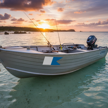 Load image into Gallery viewer, Tinnie/Aluminium Boat
