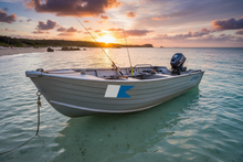 Load image into Gallery viewer, Tinnie/Aluminium Boat
