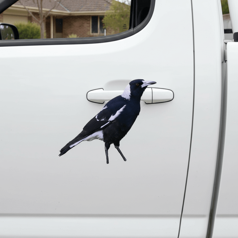 Ute Door