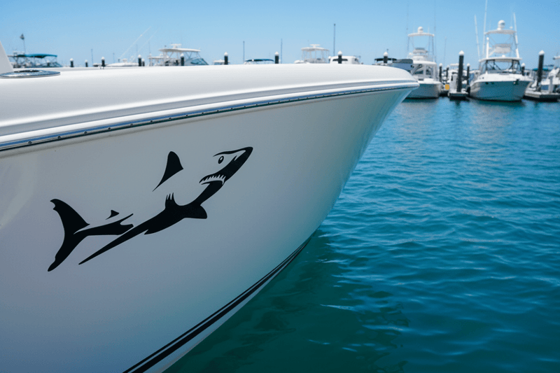 White boat hull at marina shark decal