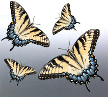 Load image into Gallery viewer, 4 of Butterfly decals vinyl cut Sticker bug tribal decal
