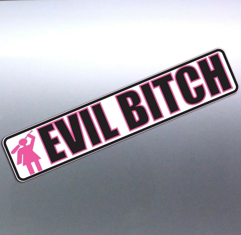 EVIL BITCH pink holding baseball bat Crazy funny C