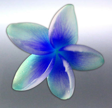 Frangipani Sticker vinyl cut Blue & Green colour l