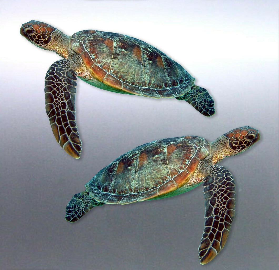 Mirrored pair of Turtle decals Great barrier Reef ocean