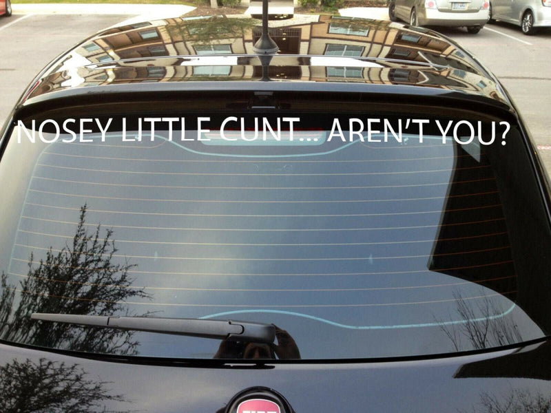 Nosey little c#nt aren't you decal sticker vinyl cut