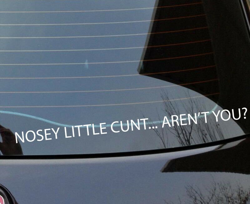 Nosey little c#nt aren't you decal sticker vinyl letters