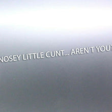 Load image into Gallery viewer, 1.5 Meters long Nosey little c#nt aren't you decal
