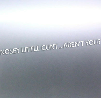 1.5 Meters long Nosey little c#nt aren't you decal