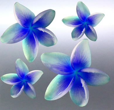 4 x frangipani Sticker vinyl cut blue and green co