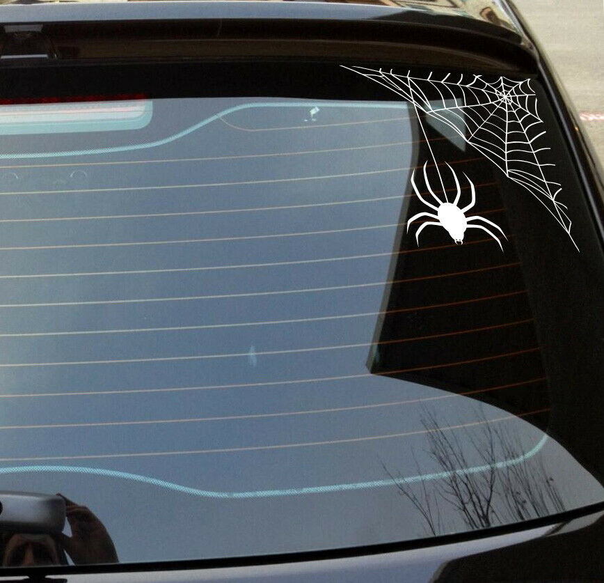 Spider web decal Vinyl cut sticker for Car window – Stickdat