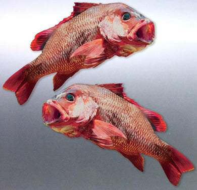 Mirrored pair of Mangrove Jack stickers Real Photo