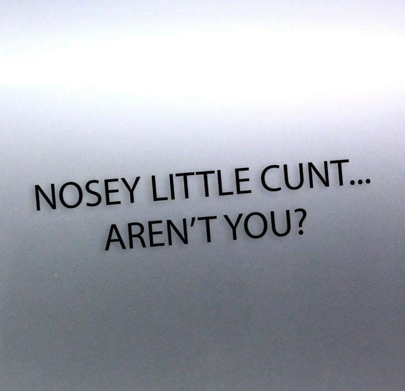 Small Nosey little C#nt... aren't you? sticker fun