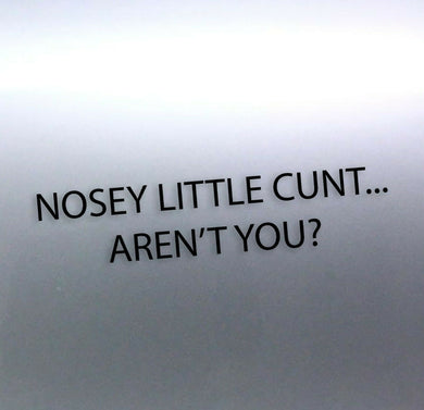 Small Nosey little C#nt... aren't you? sticker fun