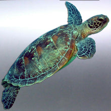 Load image into Gallery viewer, Turtle Sticker Great barrier Reef Fish Vinyl cut C
