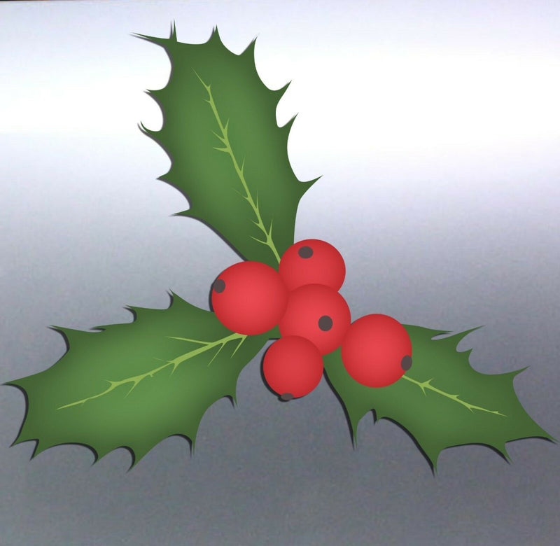 Mistletoe Vinyl cut Sticker, 120×100mm aussie mad