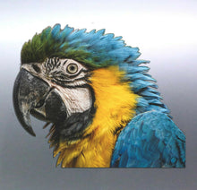 Load image into Gallery viewer, Macaw head decal Sticker Vinyl cut Australian made
