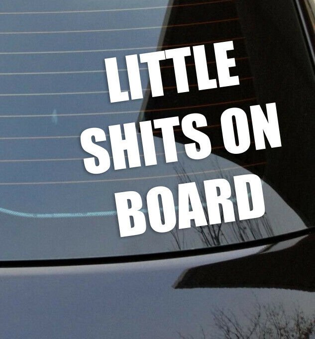 Little Shits on board sticker Sign vinyl cut in car