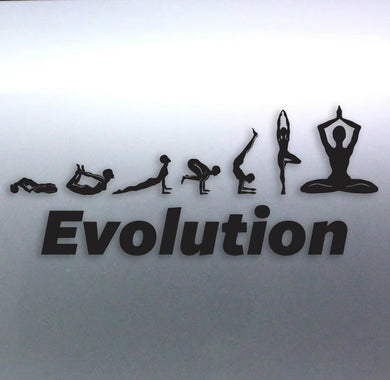 Evolution of Yoga vinyl cut sticker Australian mad