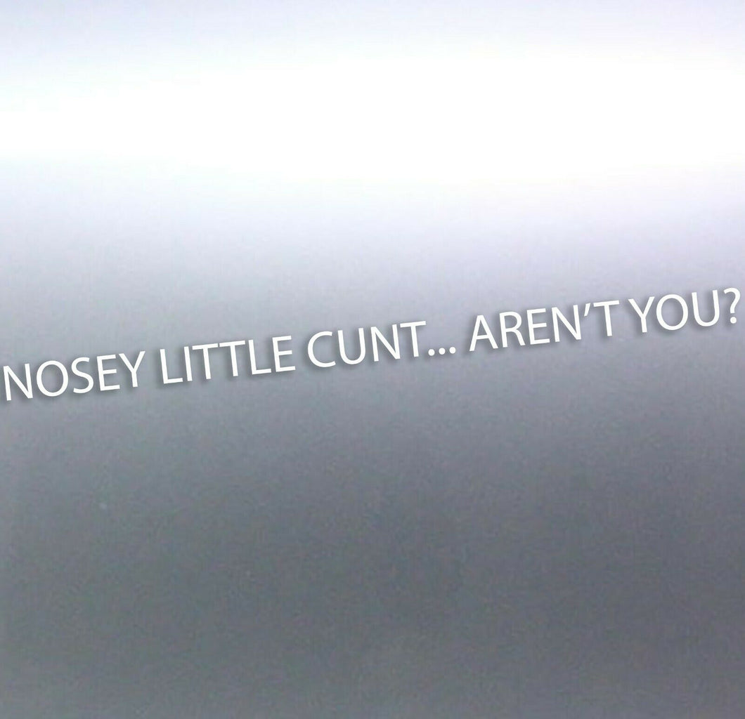 2.2 Meters long Nosey little c#nt aren't you decal