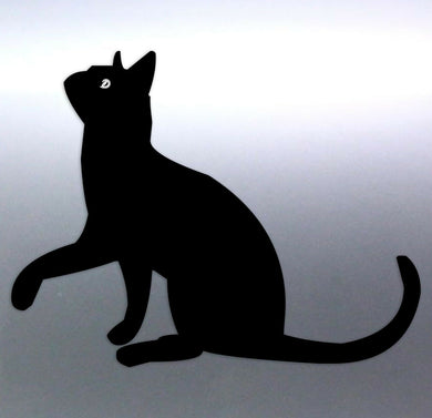 begging cat Sticker Vinyl cut Australia 140x105mm 