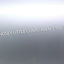 Load image into Gallery viewer, 1 Meters long Nosey little c#nt aren't you decal s
