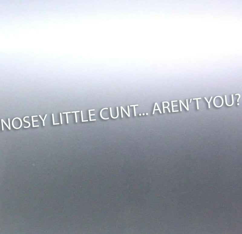 1 Meters long Nosey little c#nt aren't you decal s