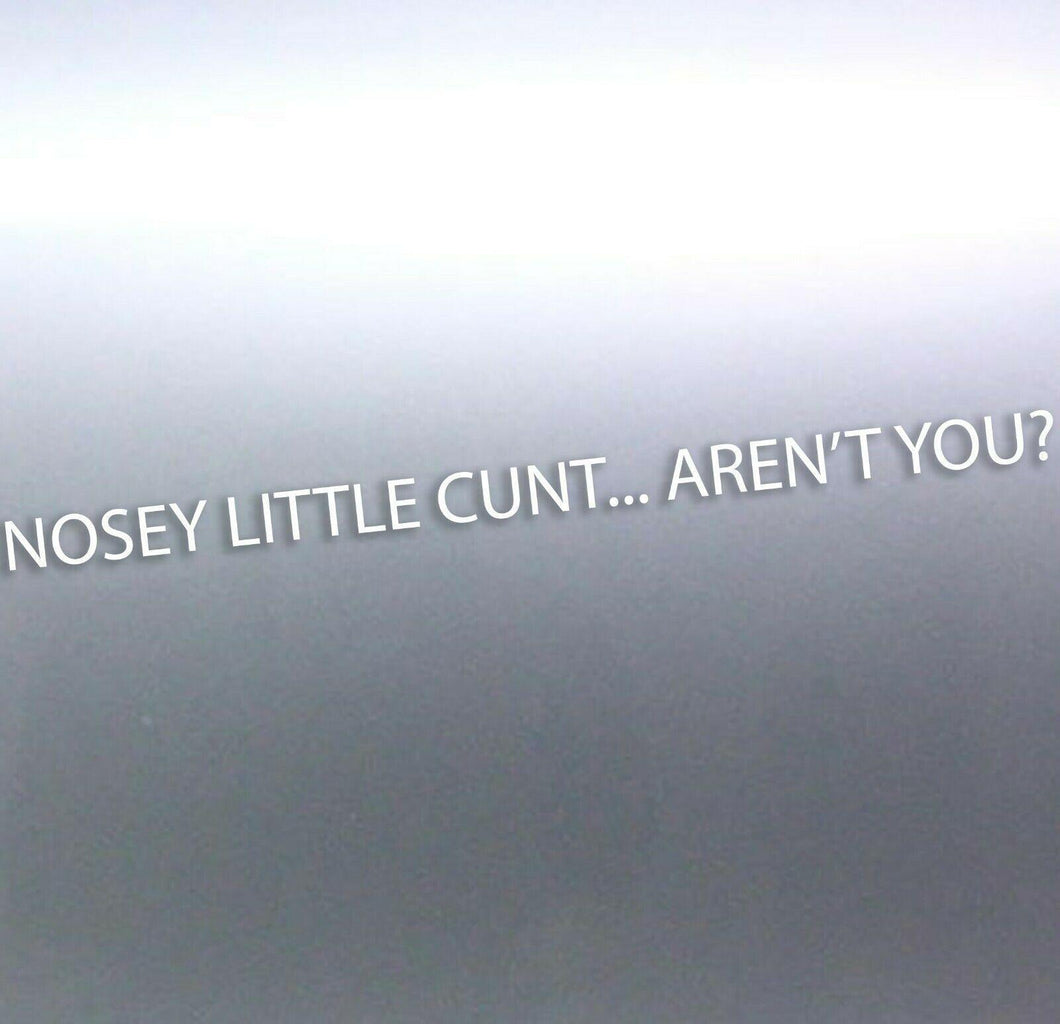1 Meters long Nosey little c#nt aren't you decal s