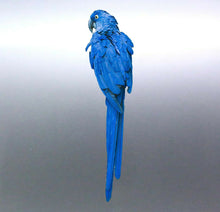 Load image into Gallery viewer, blue parrot Macaw Sticker Vinyl cut decal Australi
