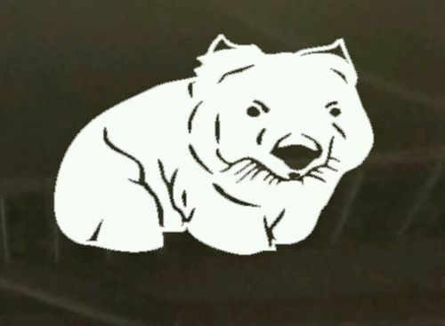 Cute Wombat Australian Animals Vinyl cut Sticker c