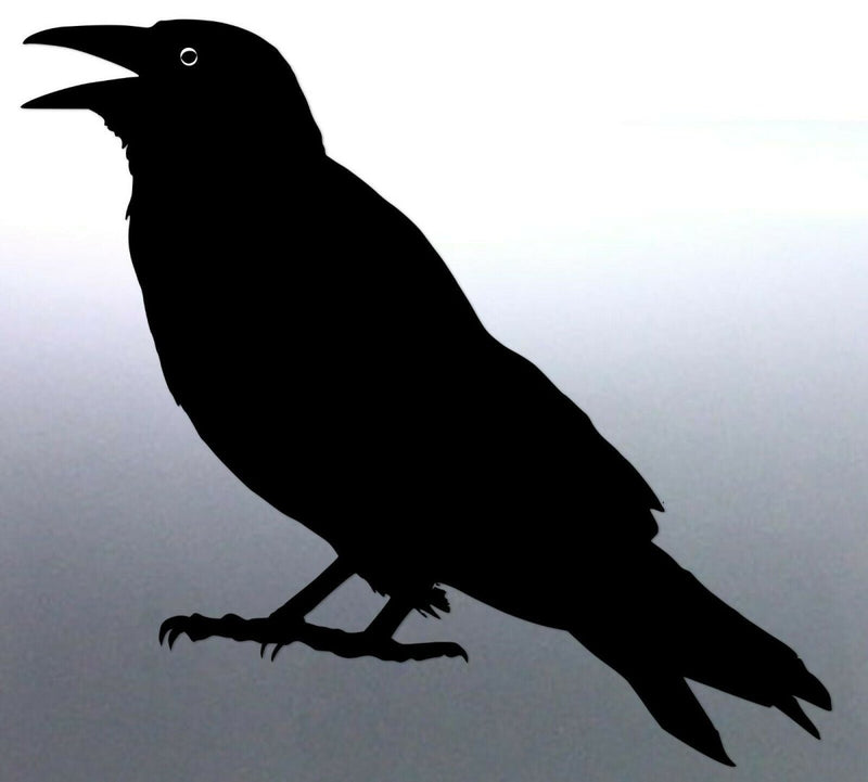 Crow Sticker Vinyl cut Australian made high gloss 