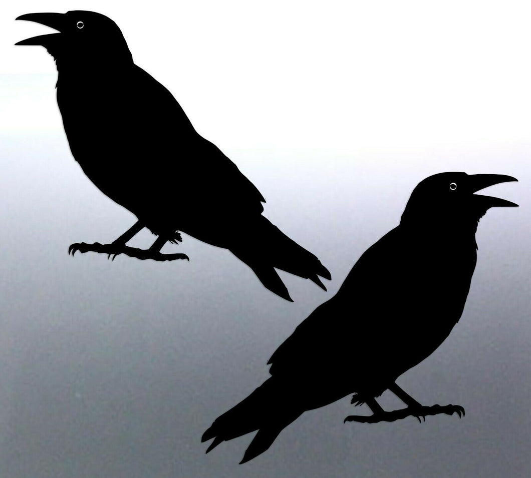 Mirrored pair of Crows Sticker Vinyl cut solid bla