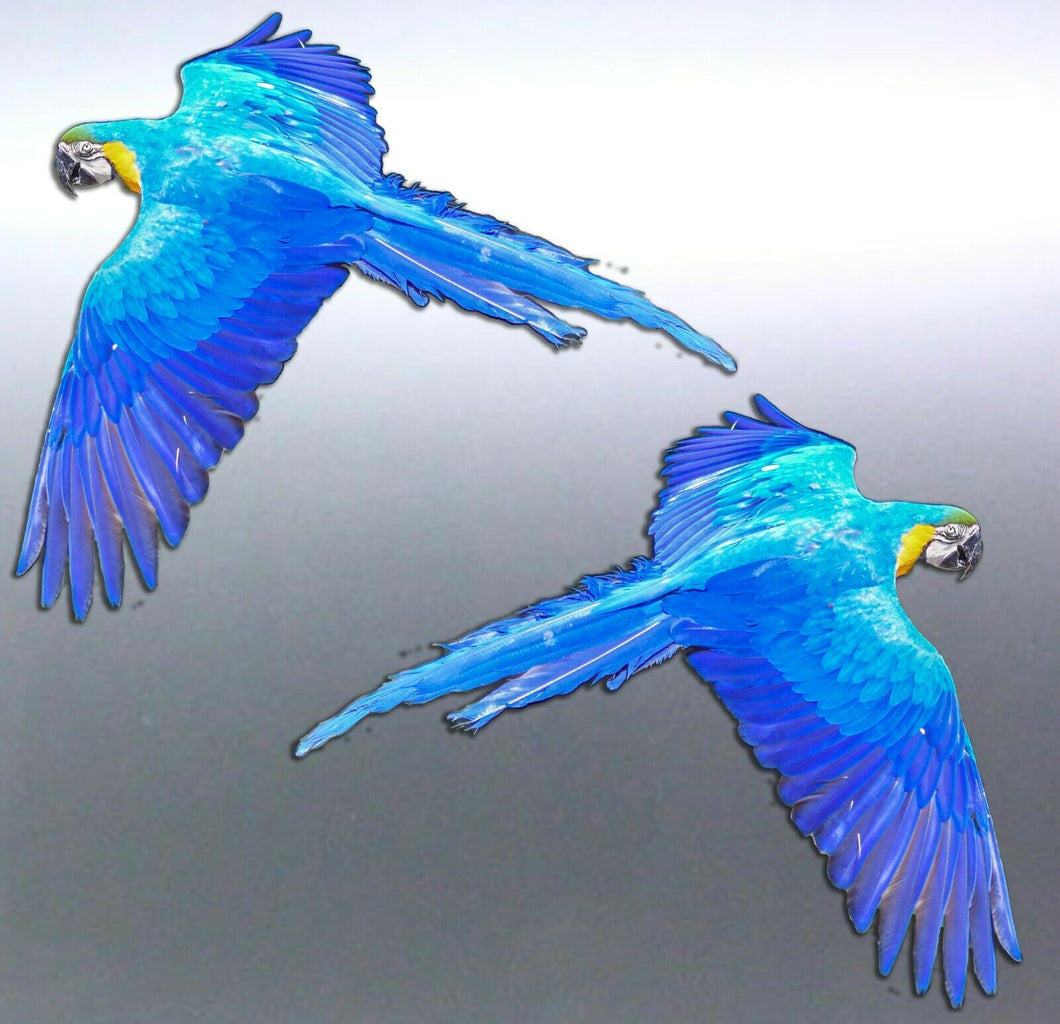 Mirrored Macaw in flight Stickers Vinyl decal of r