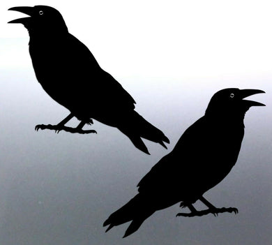 Mirrored pair of Crows Sticker Vinyl cut solid black decal