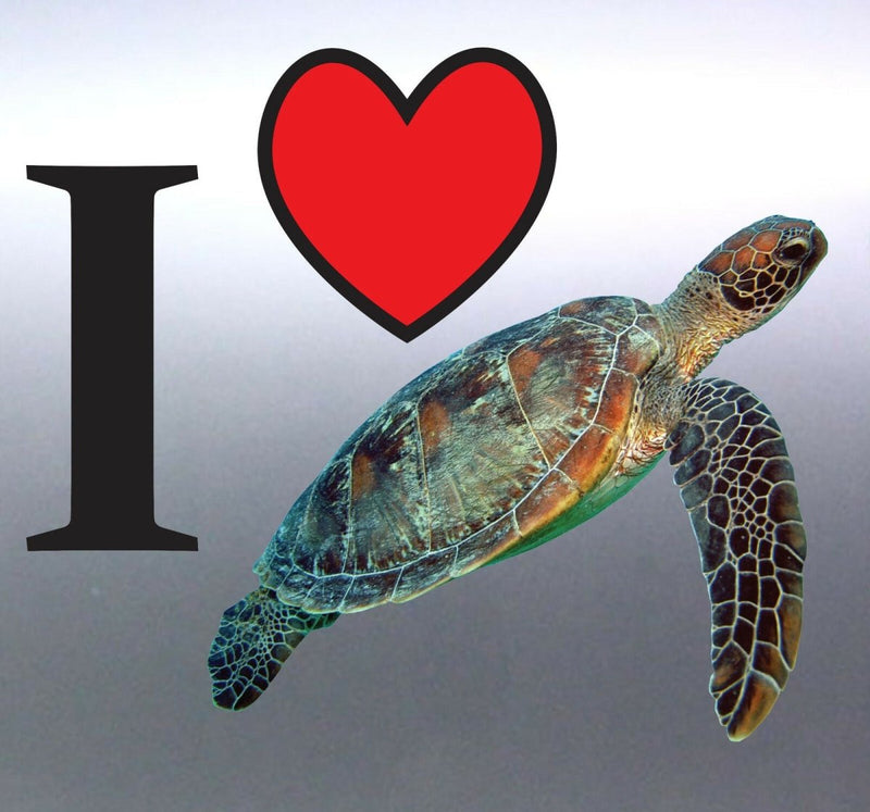 I love Turtles Great barrier Reef Vinyl Car Sticke