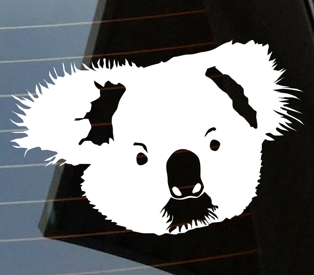 Cute koala Funny Australian Animals Driving licence