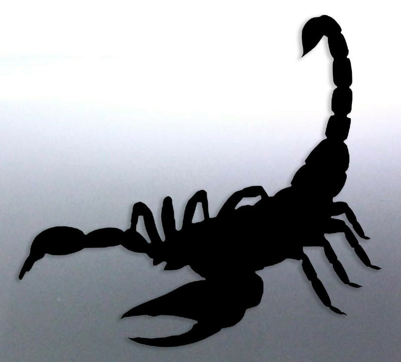 Scorpion decal 105mm bug stinger vinyl cut sticker