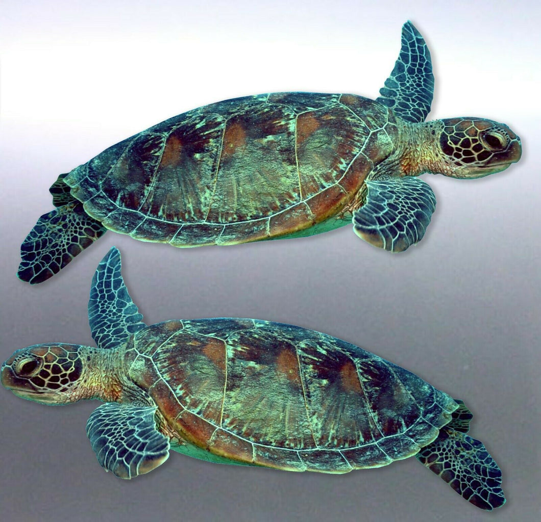 Mirrored pair of Turtle Sticker Great barrier Reef