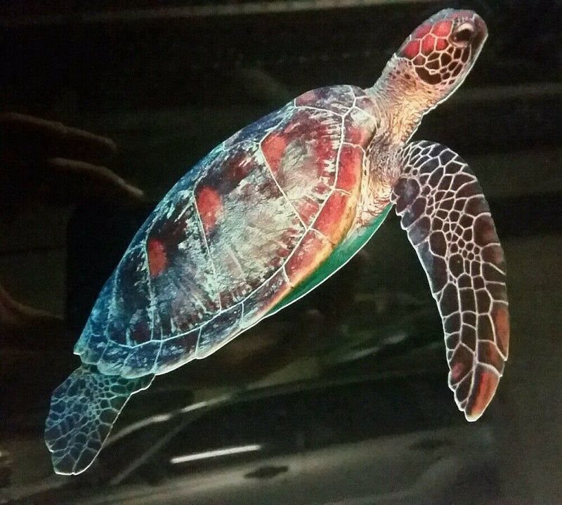 Turtle Great barrier Reef Vinyl Car Sticker 150x11